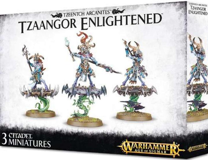 Warhammer Age of Sigmar Tzaangor Enlightened