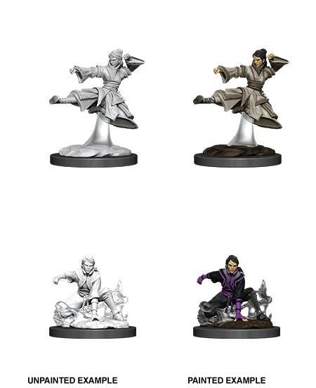 D&D Nolzur's Marvelous Miniatures Wave 11 Female Human Monk