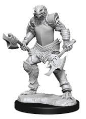 D&D Wave 15 Nolzur's Marvelous Miniatures Dragonborn Fighter Female