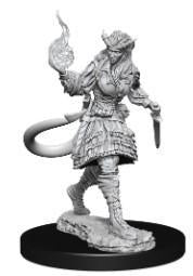D&D Wave 15 Nolzur's Marvelous Miniatures Tiefling Sorcerer Female