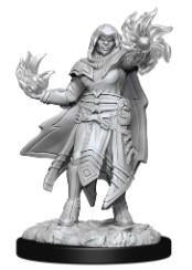 D&D Wave 15 Nolzur's Marvelous Miniatures Hobgoblin Fighter Male & Hobgoblin Wizard Female