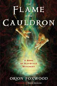 The Flame in the Cauldron Book